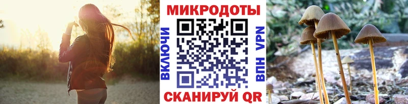 Галлюциногенные грибы Cubensis  купить   Дюртюли 